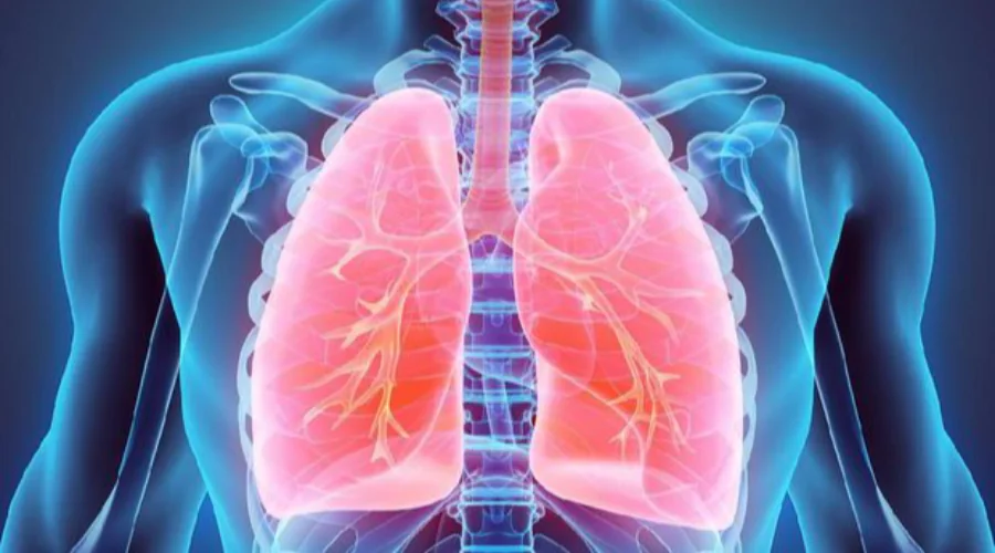 Gambar Artikel UM Surabaya Nurses Share 7 Tips for Keeping Respiratory Organs Healthy