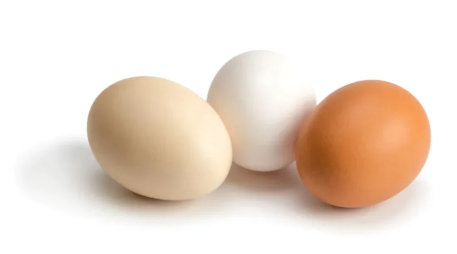 Gambar Artikel Many Infertile Eggs Circulating in the Market, UM Surabaya Biology Lecturer; Here's How To Tell The Difference