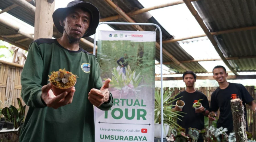Gambar Berita Ratusan Anggrek Semeru Dikenalkan dalam Virtual Tour UM Surabaya