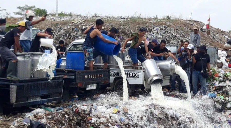 Gambar Artikel Viral Peternak Buang Susu Sapi Segar, Pakar Ekonomi UM Surabaya: Kelemahan Sistemik